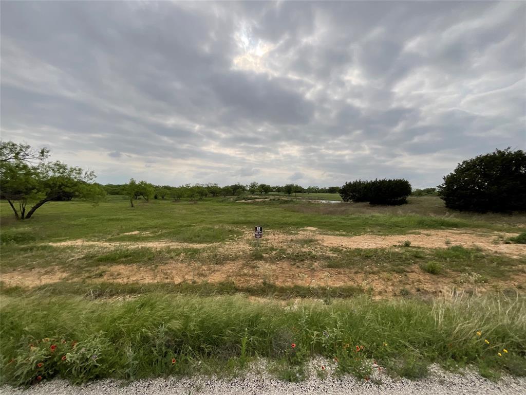 1009 Goodnight Trail Perrin, TX 76486 - Photo 8 of 14 a view of an ocean