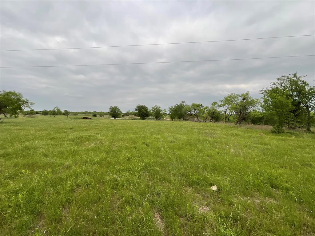 1009 Goodnight Trail Perrin, TX 76486 - Photo 9 of 14 a yard with lots of green space