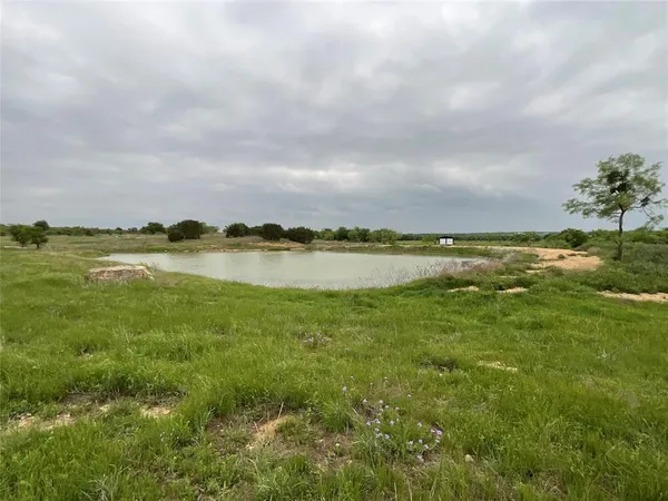 a view of a lake from a yard