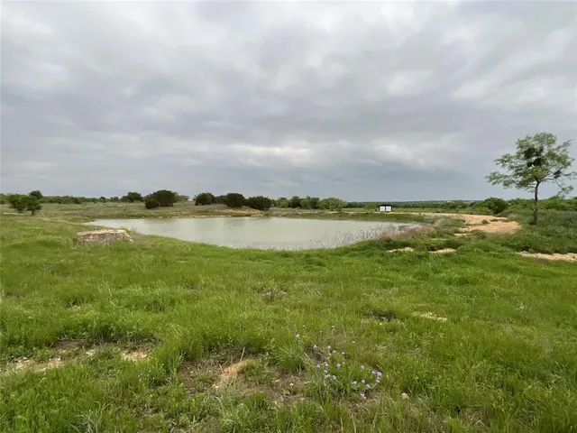 a view of a lake from a yard