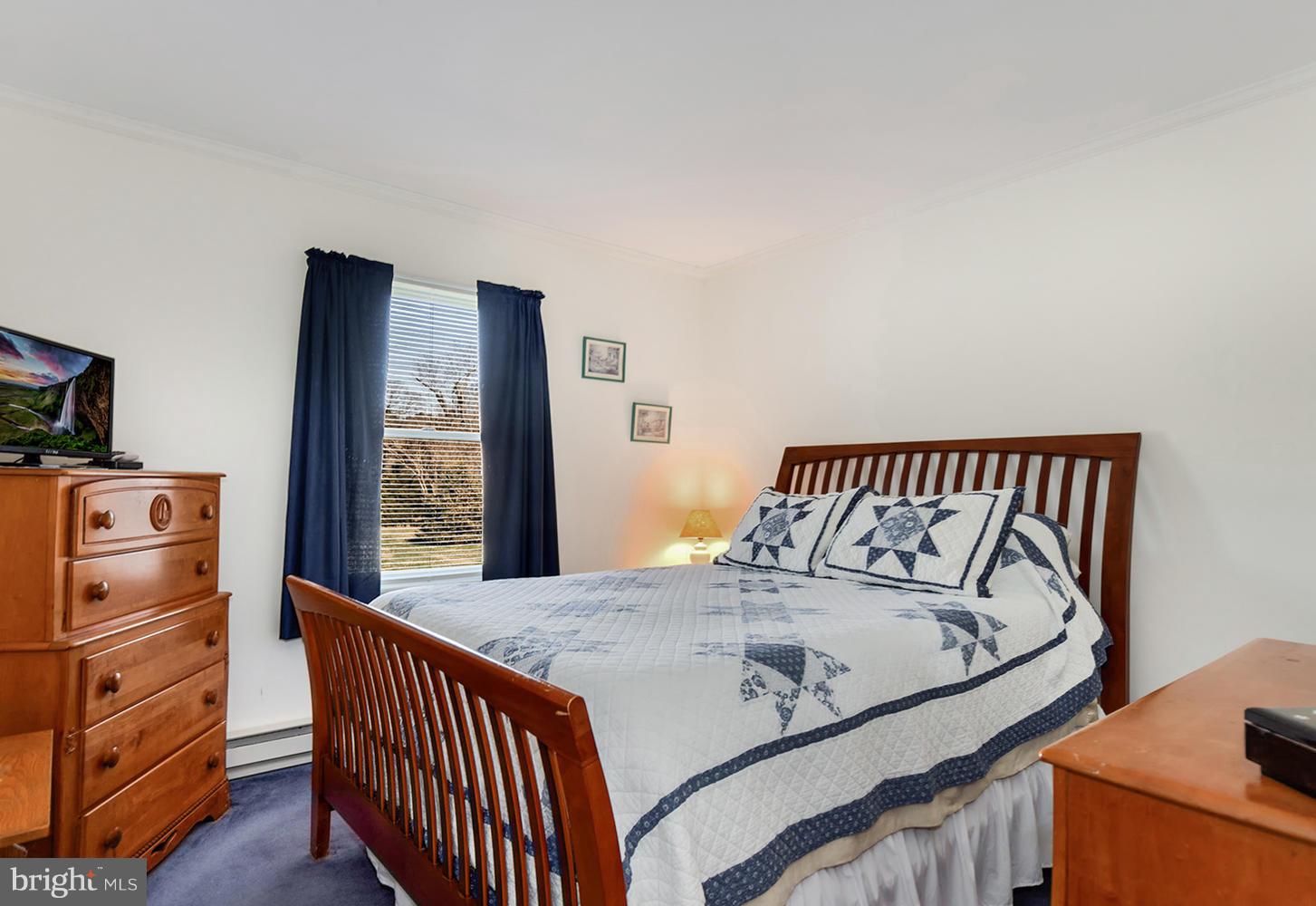 4227 Baildon Road Trappe, MD 21673 - Photo 28 of 39 Rancher Master Bedroom