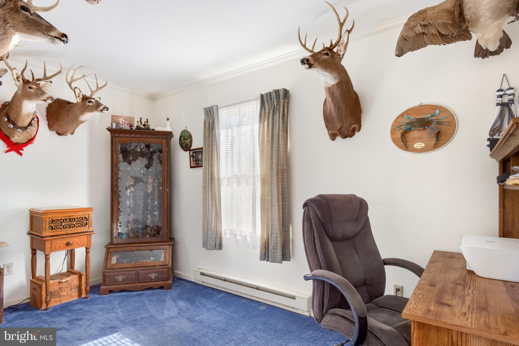 4227 Baildon Road Trappe, MD 21673 - Photo 29 of 39 Rancher Bedroom 2