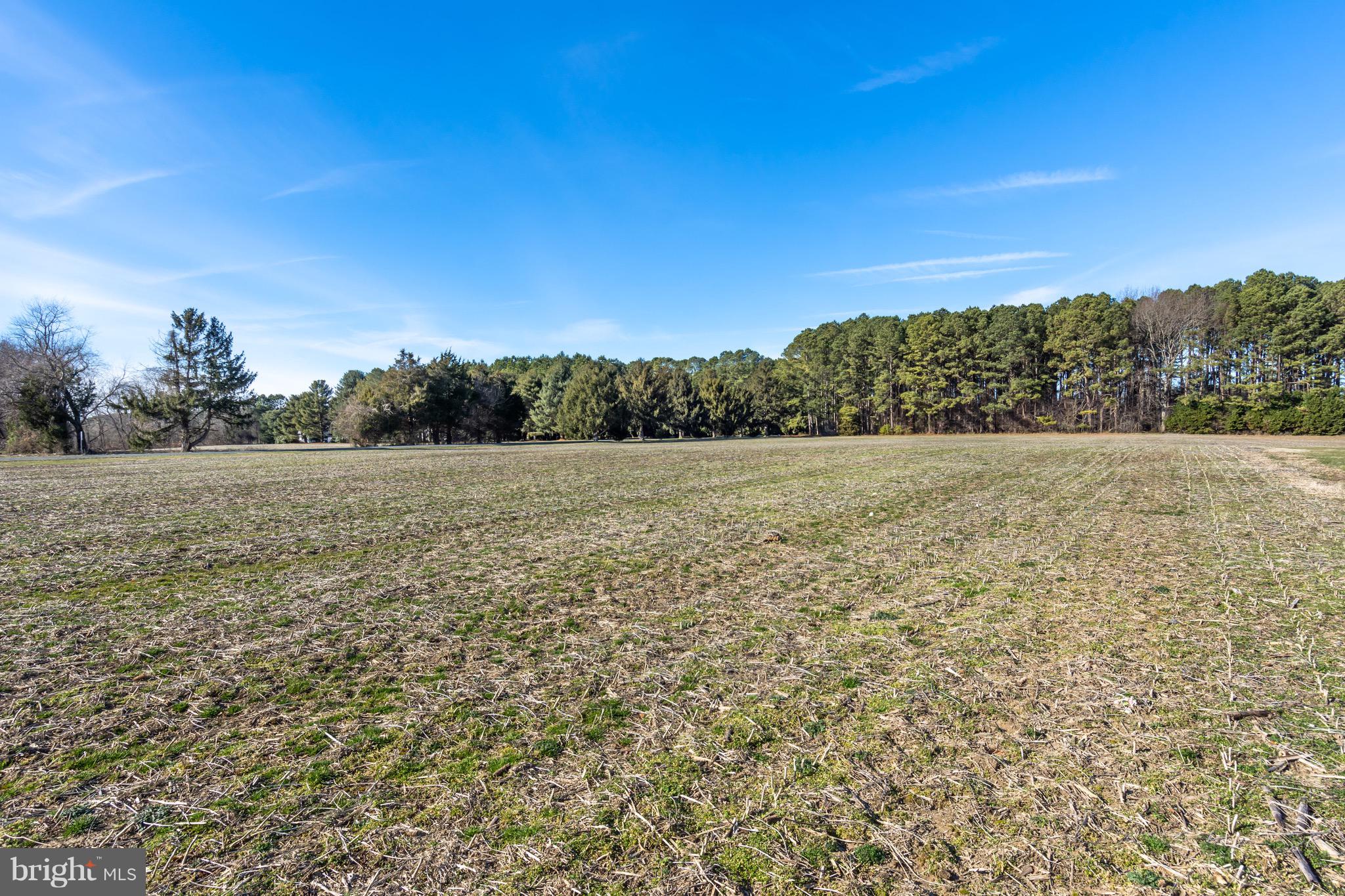 4227 Baildon Road Trappe, MD 21673 - Photo 32 of 39 Open field & additional 4.22 acre lot