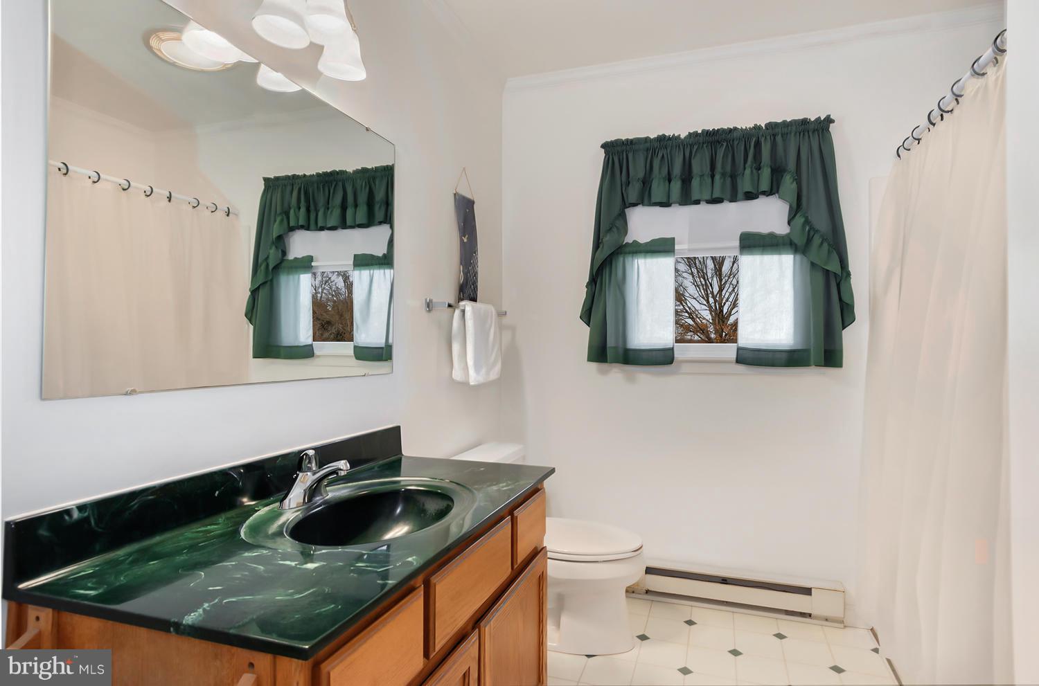 4227 Baildon Road Trappe, MD 21673 - Photo 39 of 39 Rancher Bathroom