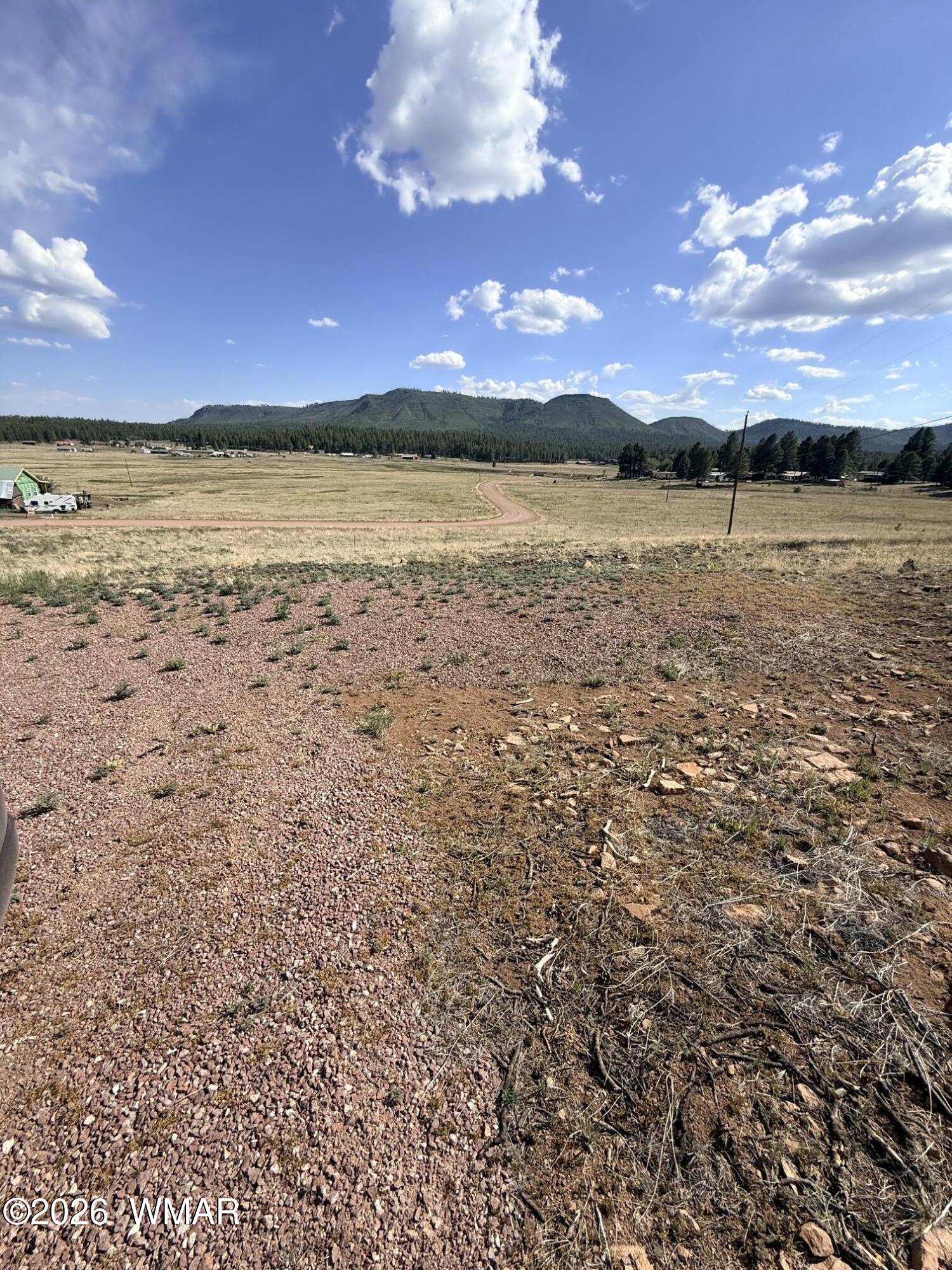 32 The Ranch Alpine, AZ 85920 - Photo 10 of 11