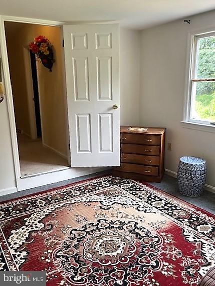 51 Moore Lane Falling Waters, WV 25419 - Photo 23 of 47 a view of wooden closet