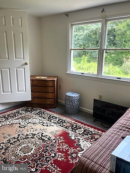 51 Moore Lane Falling Waters, WV 25419 - Photo 24 of 47 a room with a bed and a window
