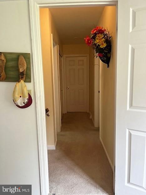 51 Moore Lane Falling Waters, WV 25419 - Photo 25 of 47 a view of a hallway with a flower pot