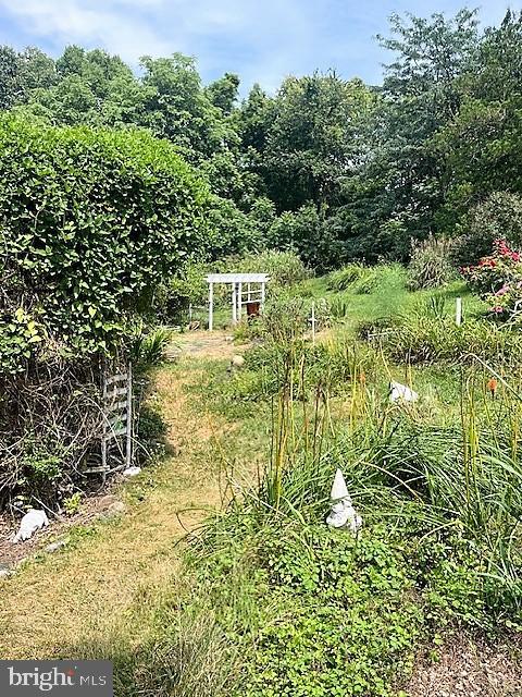 51 Moore Lane Falling Waters, WV 25419 - Photo 47 of 47 a flower garden in a yard