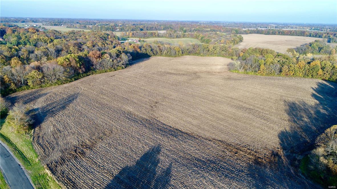 0 Bohleysville Road Waterloo, IL 62298 - Photo 4 of 14