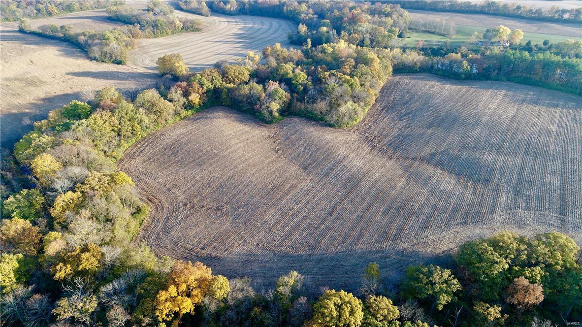 0 Bohleysville Road Waterloo, IL 62298 - Photo 5 of 14
