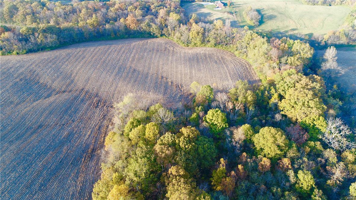 0 Bohleysville Road Waterloo, IL 62298 - Photo 7 of 14