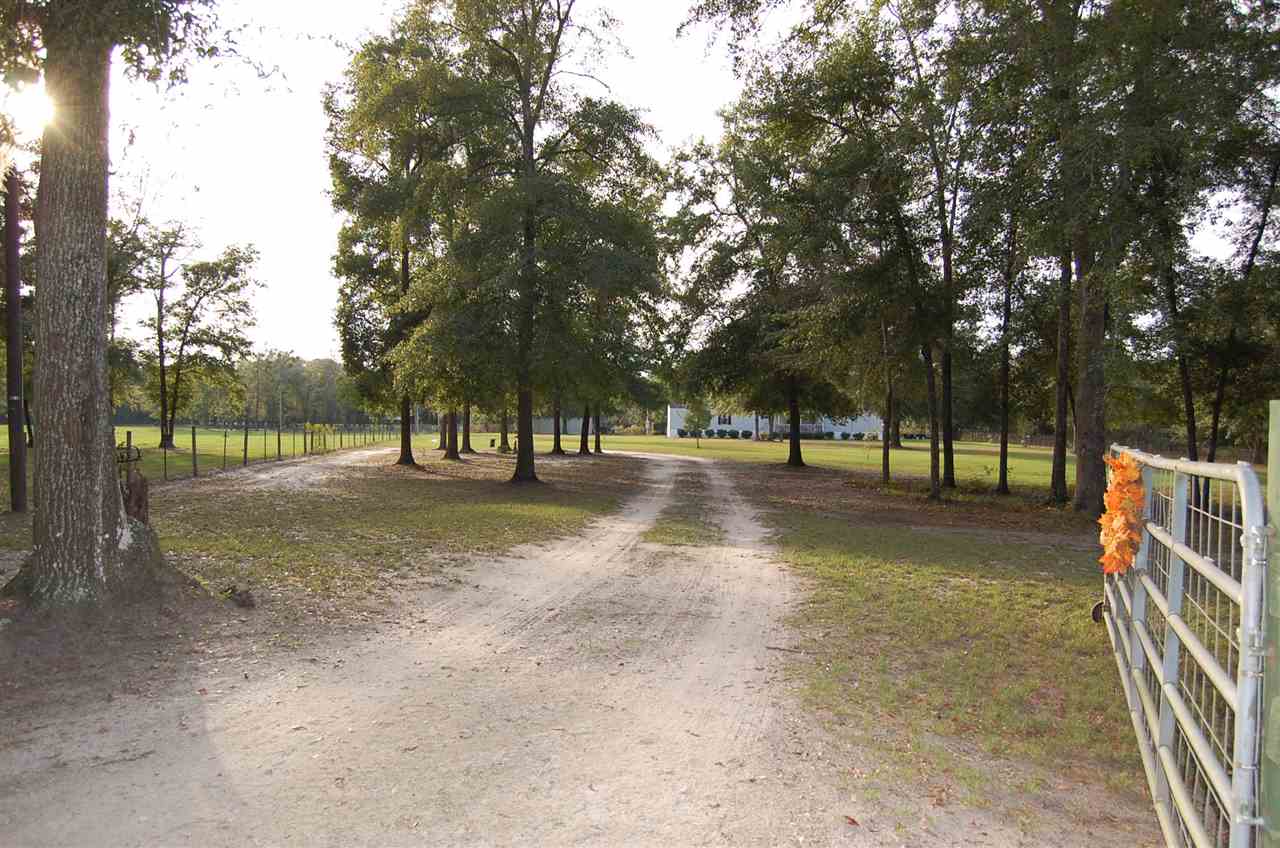 1105 Rutherford Road Lee, FL 32059 - Photo 3 of 32 Gallery Image 3