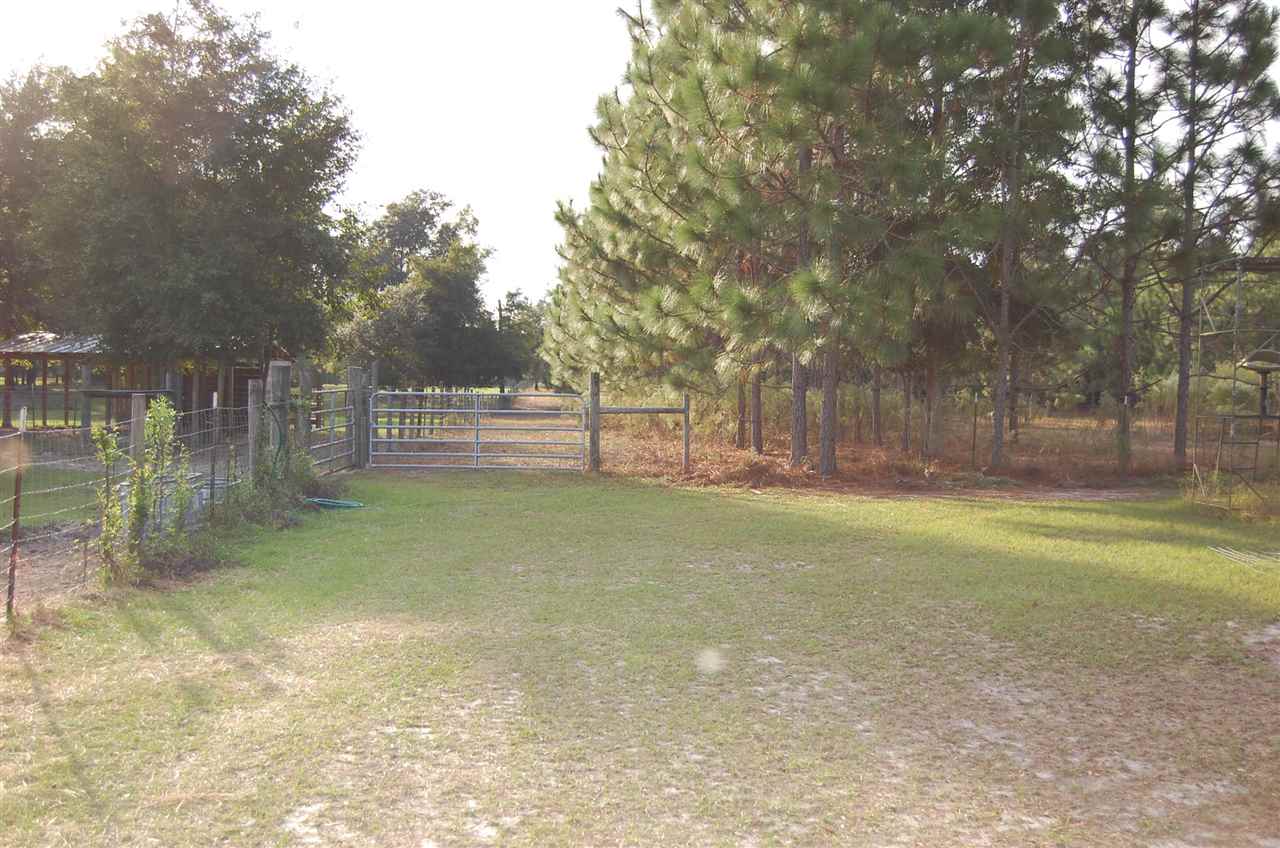 1105 Rutherford Road Lee, FL 32059 - Photo 6 of 32 Gallery Image 6