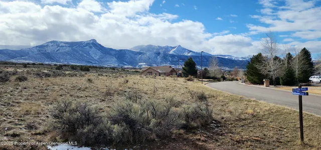a view of a dry yard with wooden fence