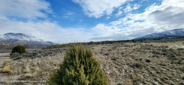a view of a dry yard with lots of bushes