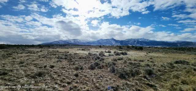 a view of a bunch of trees and bushes