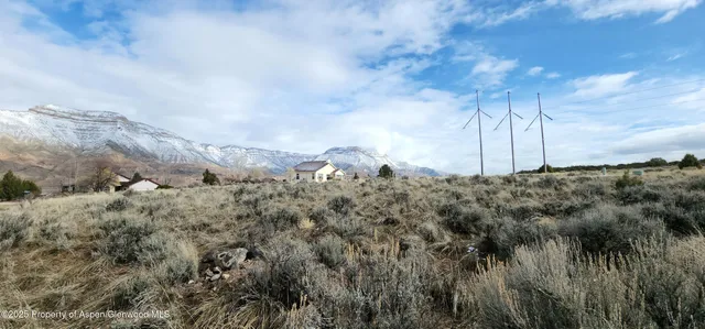 a view of a covered with trees