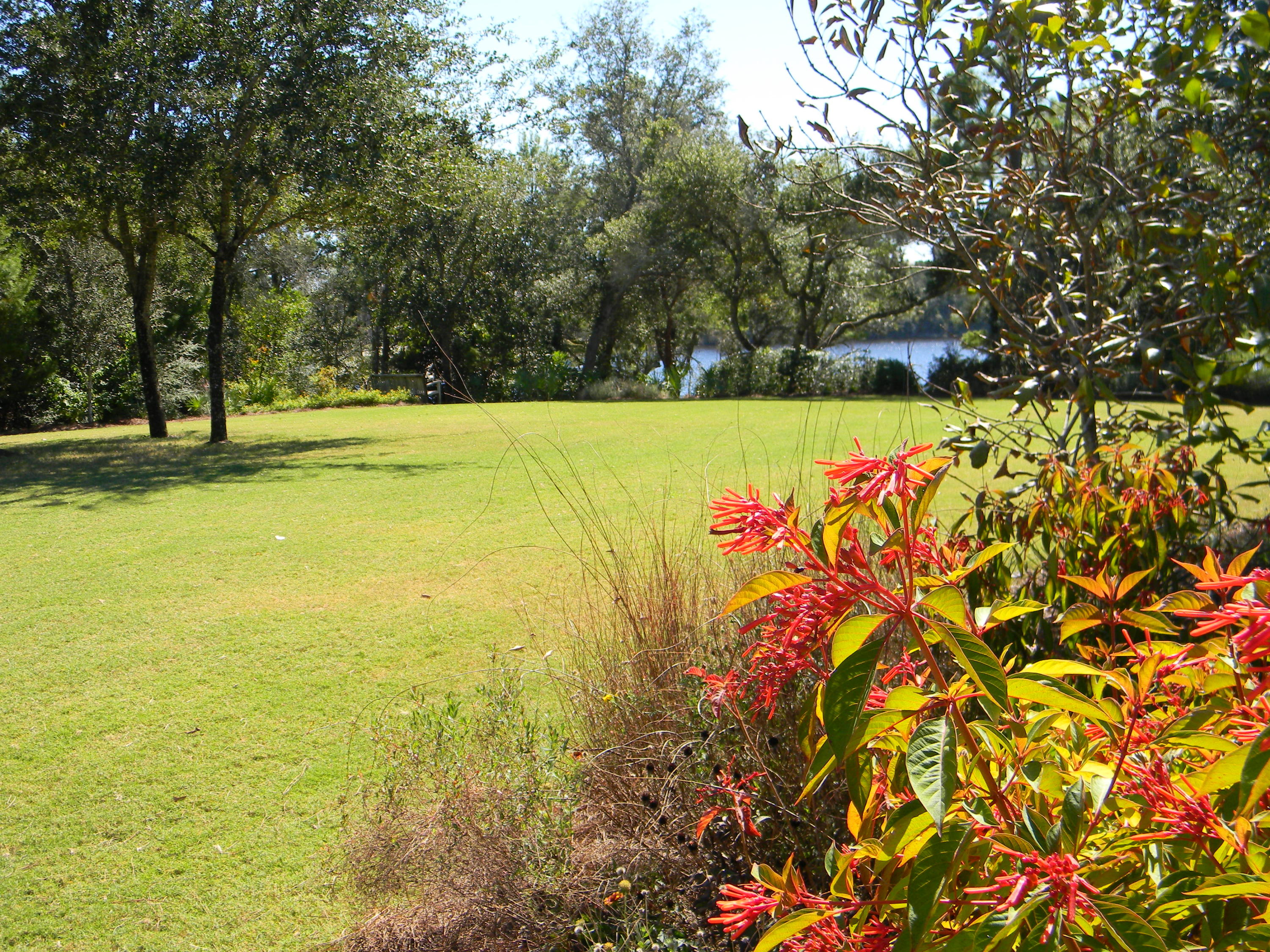 Lot9-blk4 Cedar Post Road Santa Rosa Beach, FL 32459 - Photo 4 of 11 a view of swimming pool with an outdoor space