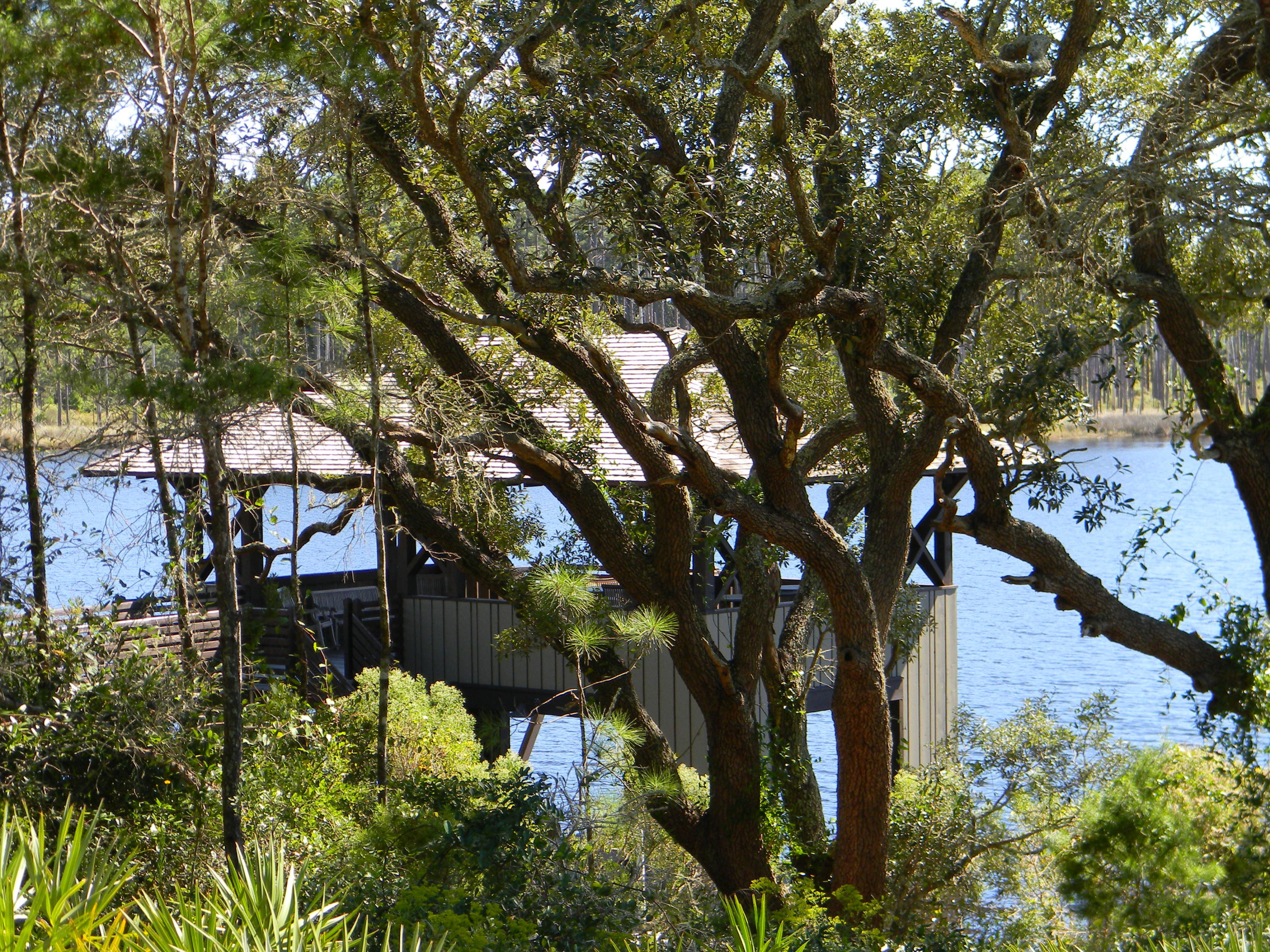 Lot9-blk4 Cedar Post Road Santa Rosa Beach, FL 32459 - Photo 6 of 11 a backyard of a house with lots of green space