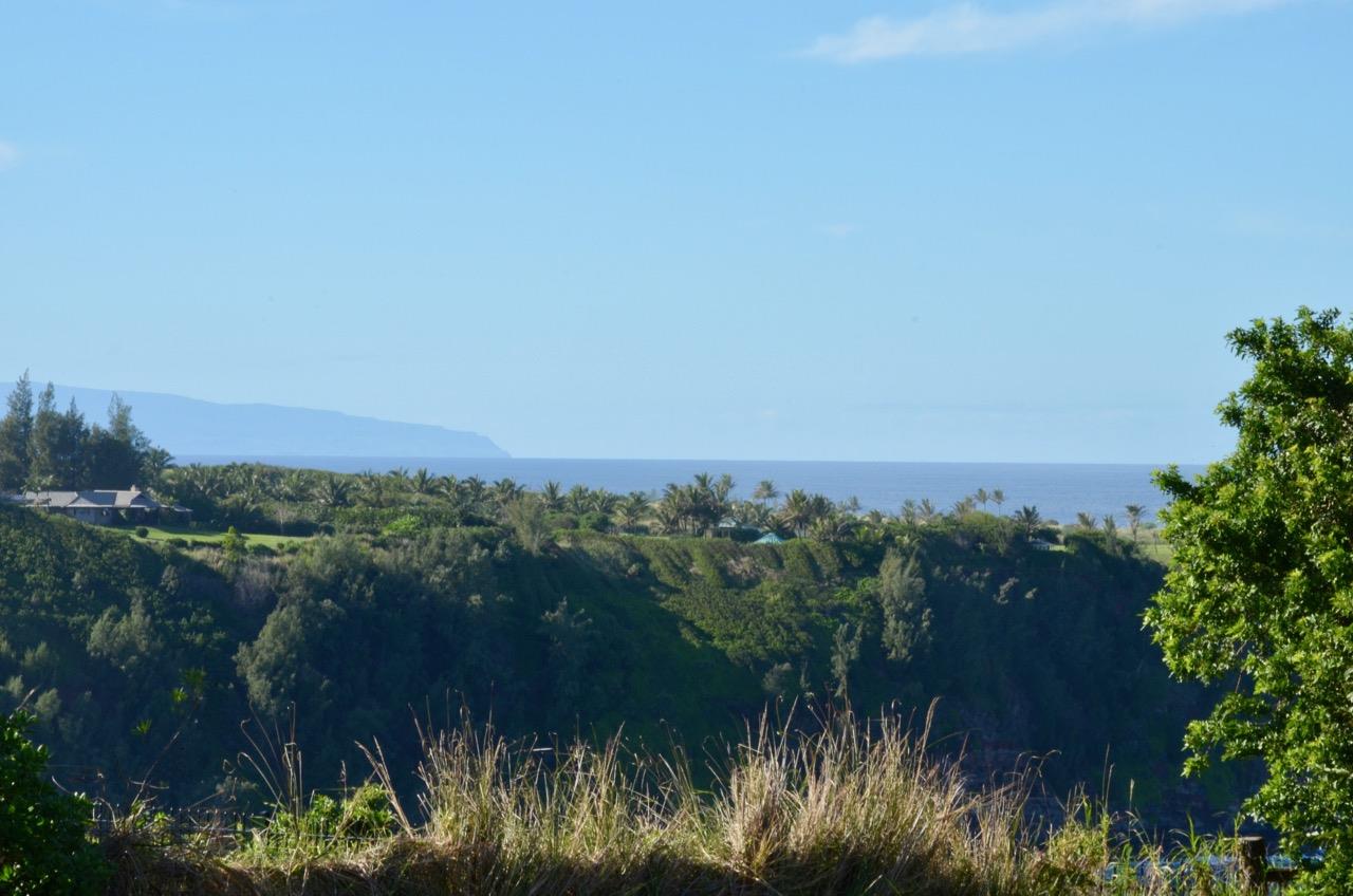 30 Hale Pili Way Haiku, HI 96708 - Photo 13 of 16 a view of a lake and green valley