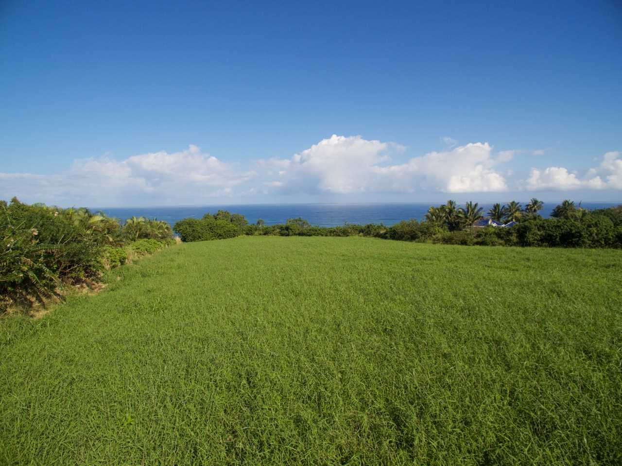 30 Hale Pili Way Haiku, HI 96708 - Photo 14 of 16 a view of a city