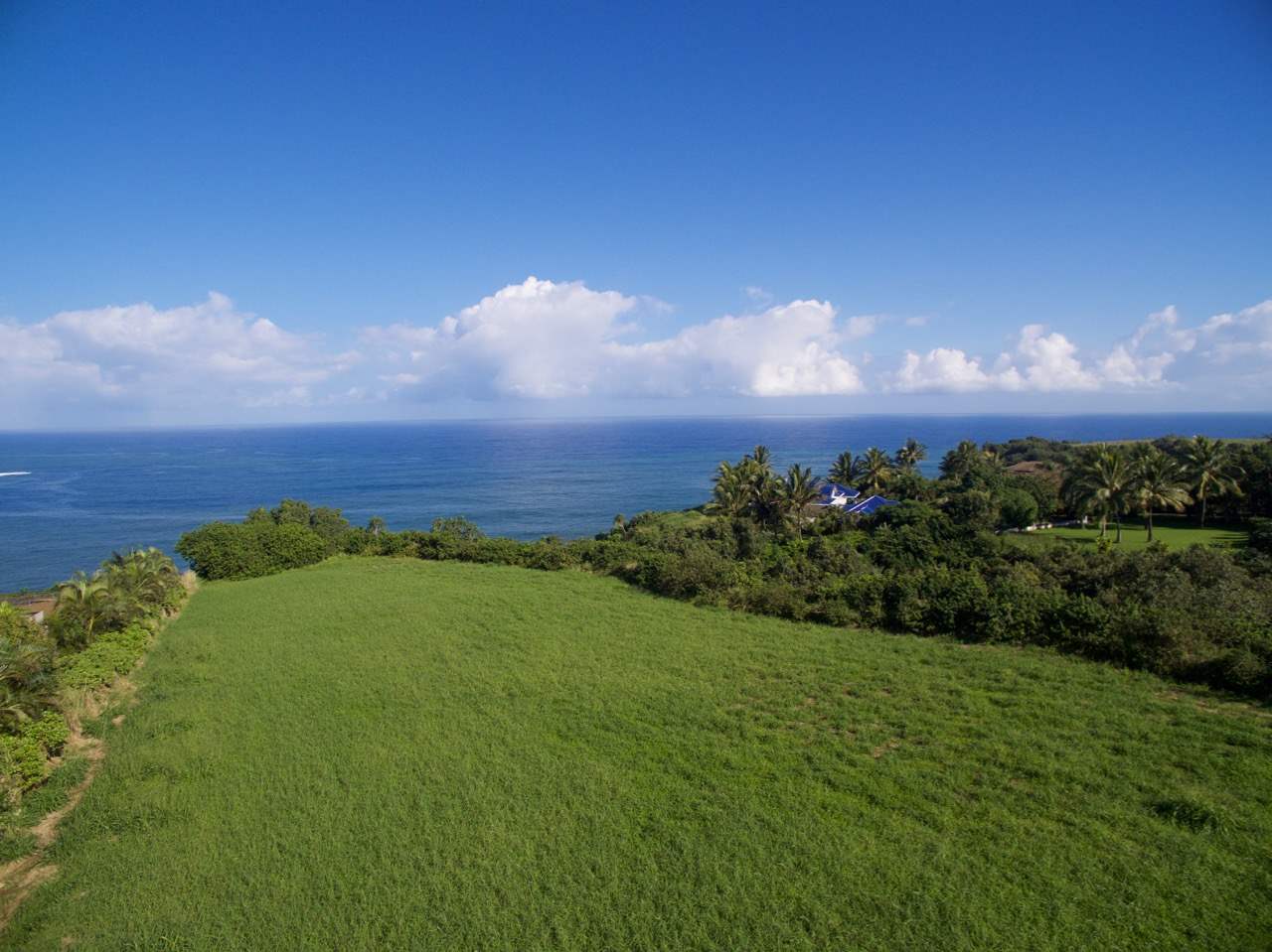 30 Hale Pili Way Haiku, HI 96708 - Photo 15 of 16 a view of a big yard with swimming pool and green space