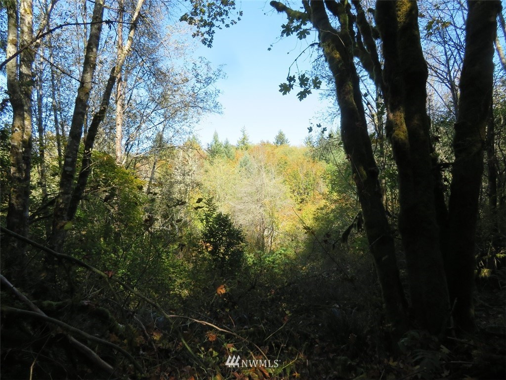 -xxx Monroe Road Winlock, WA 98596 - Photo 2 of 23