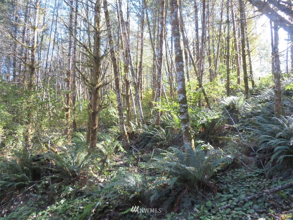 -xxx Monroe Road Winlock, WA 98596 - Photo 12 of 23