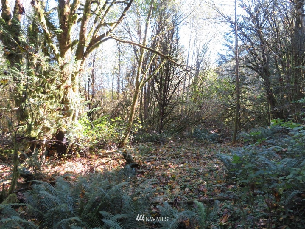 -xxx Monroe Road Winlock, WA 98596 - Photo 20 of 23