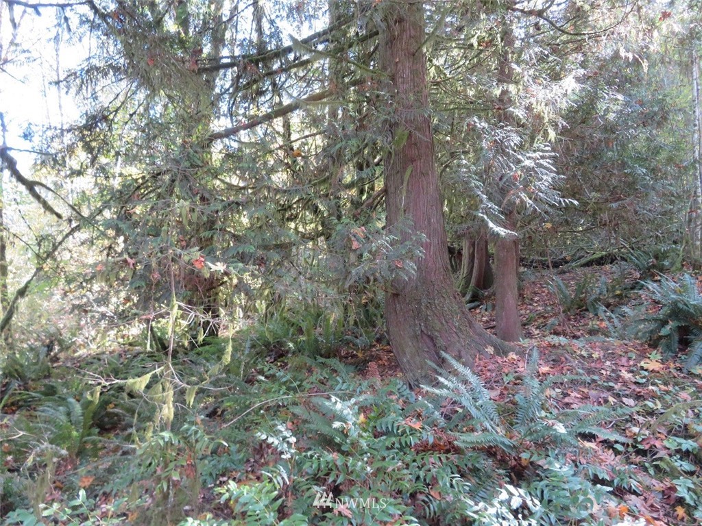 -xxx Monroe Road Winlock, WA 98596 - Photo 22 of 23