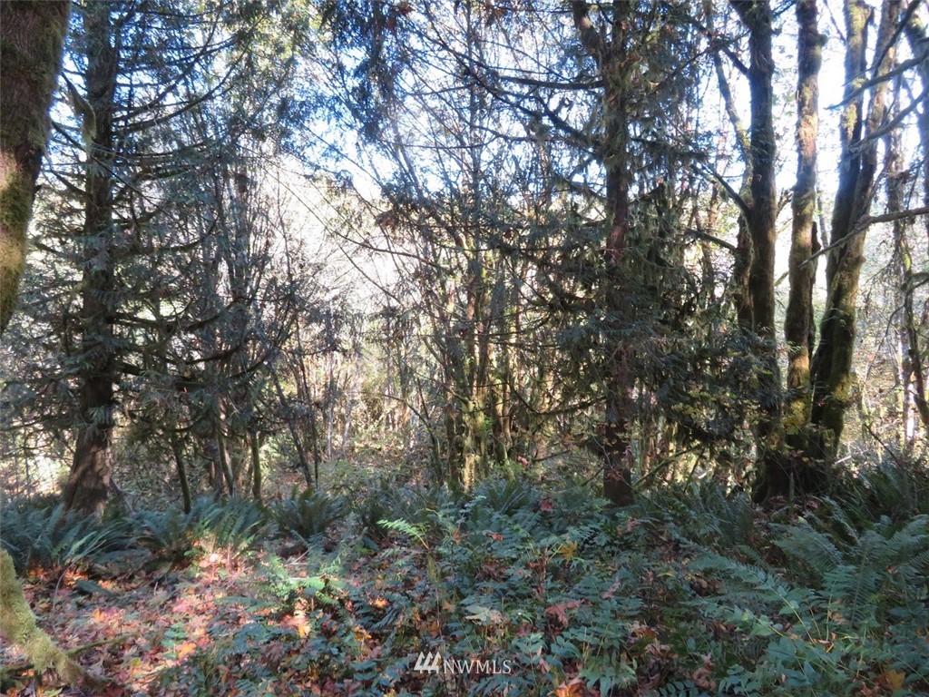 -xxx Monroe Road Winlock, WA 98596 - Photo 23 of 23