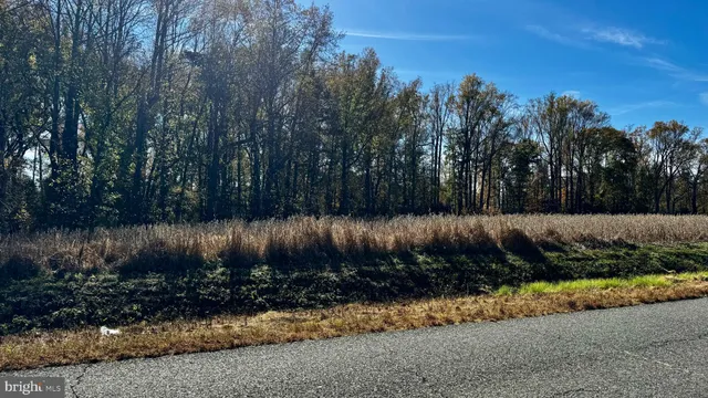 a view of a backyard of a house