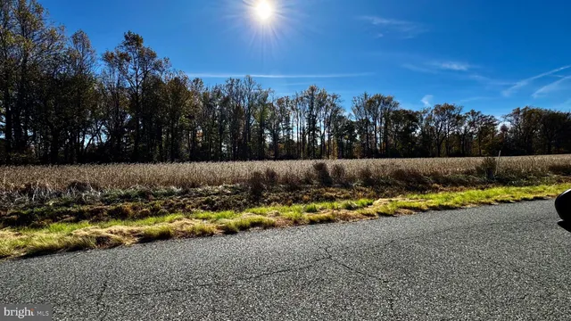 a view of swimming pool and yard