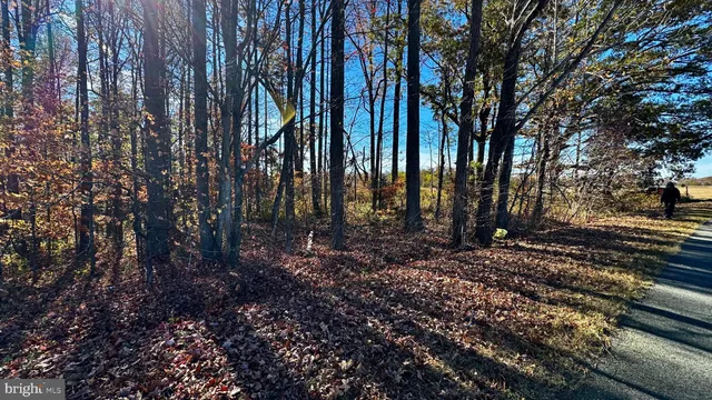 a view of a backyard of the house
