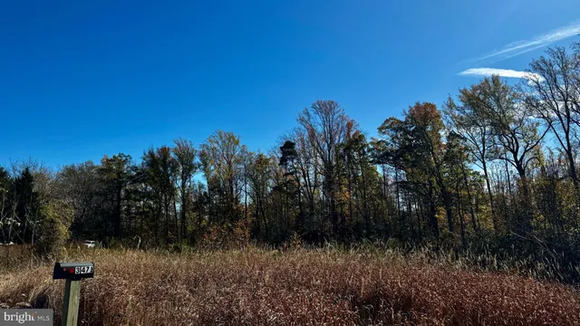 a view of a city with lush green forest