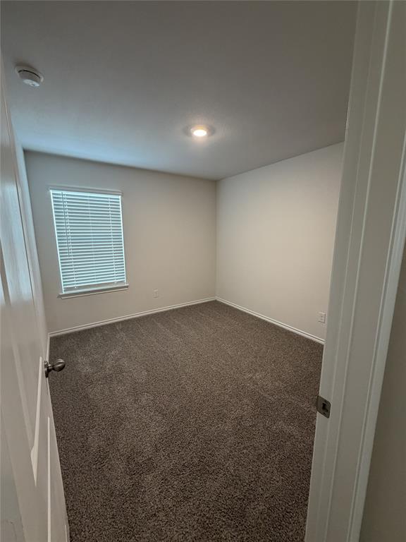 729 Lantana Lane Pilot Point, TX 76258 - Photo 15 of 19 an empty room with windows