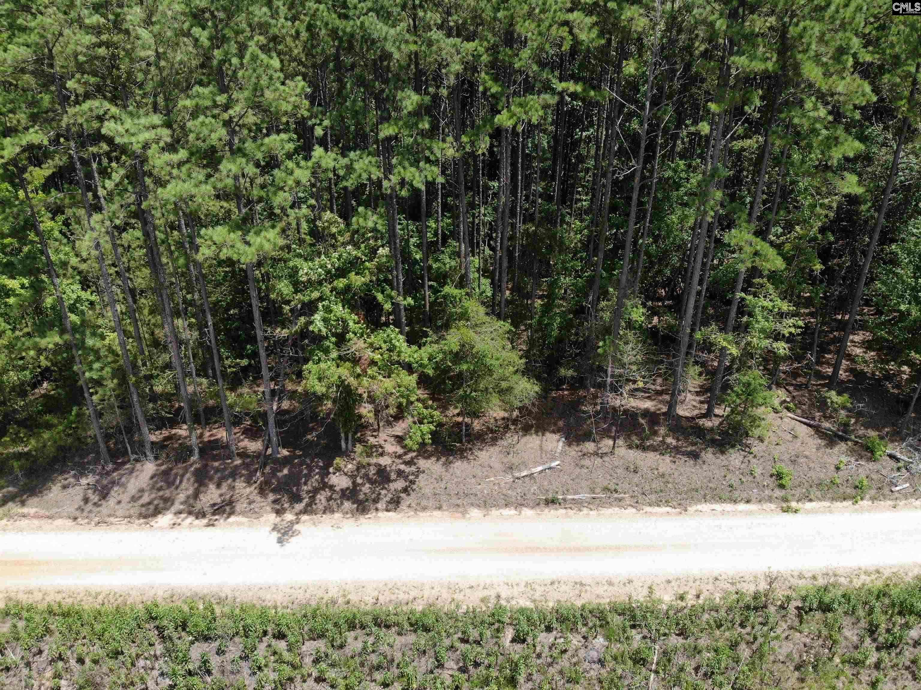 Lot 103 Pineland Road Chappells, SC 29037 - Photo 6 of 9