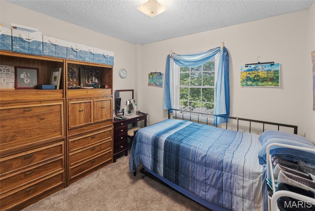 1405 Columbia Road Dupo, IL 62239 - Photo 26 of 49