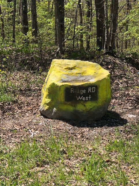 2.26 Ridge Road West Crossville, TN 38572 - Photo 8 of 8 IMG_1796