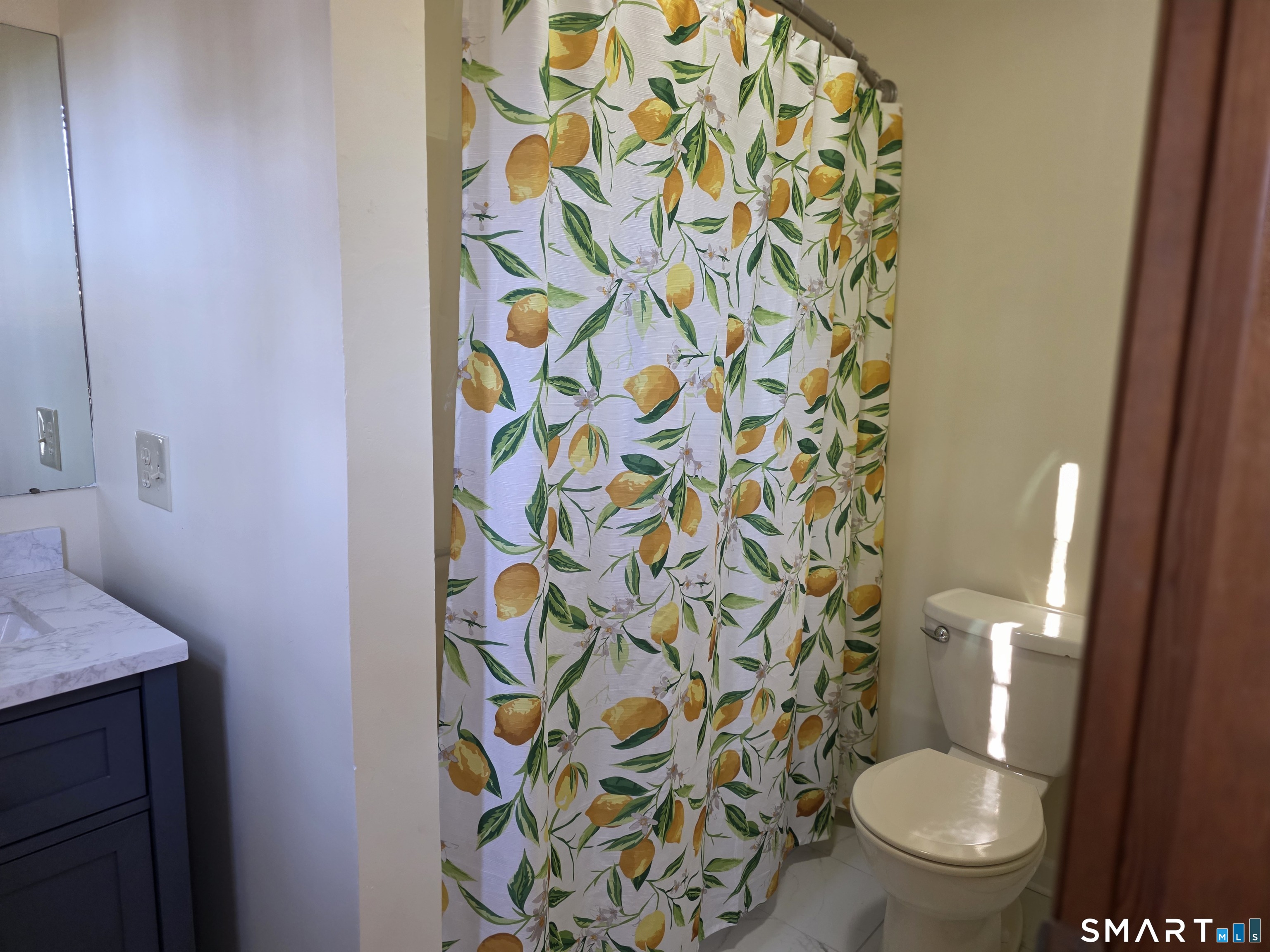 29 Brook Pine Drive Shelton, CT 06484 - Photo 23 of 36