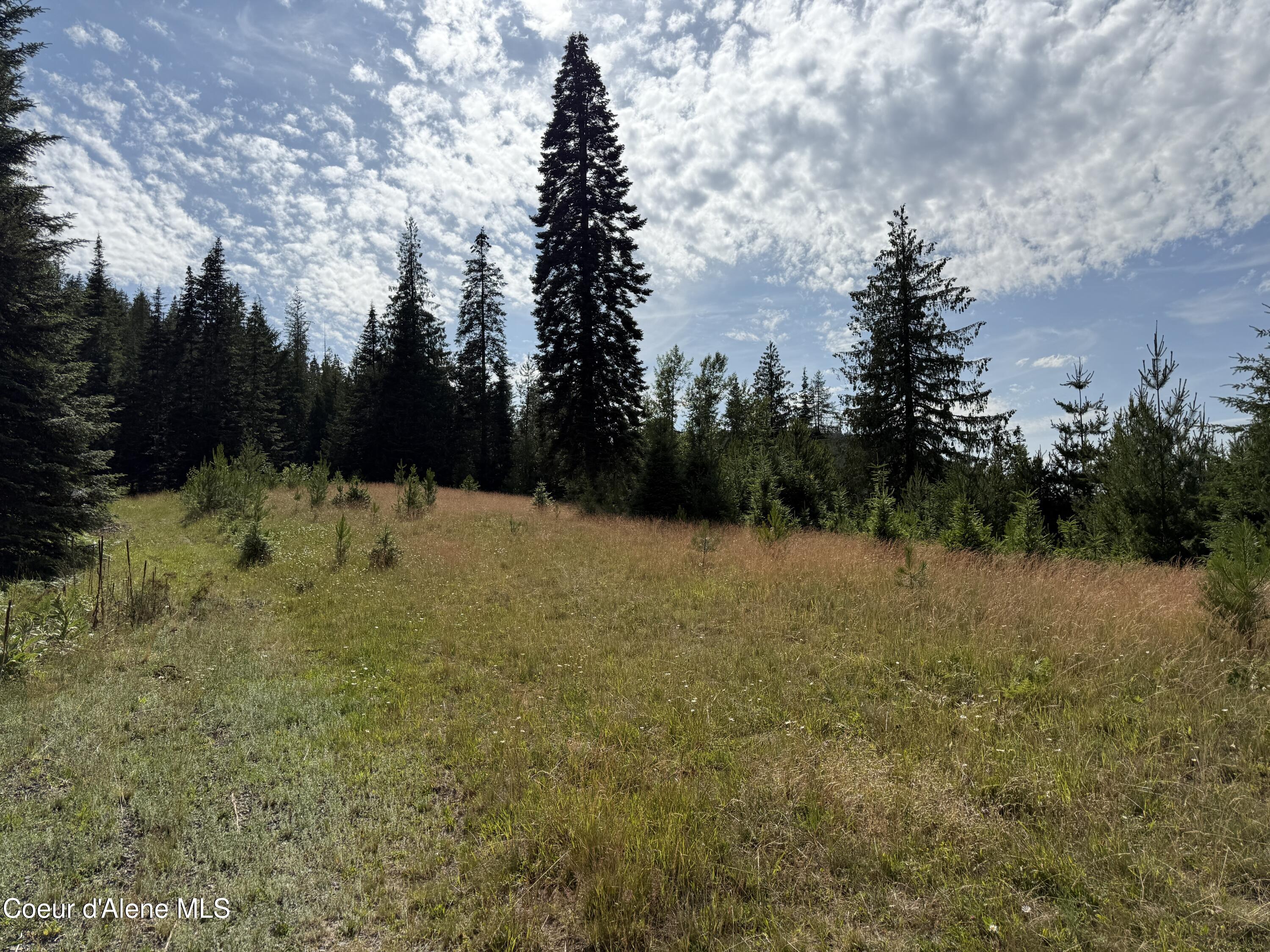 Nka South Fern Creek Road Cataldo, ID 83810 - Photo 12 of 19 12