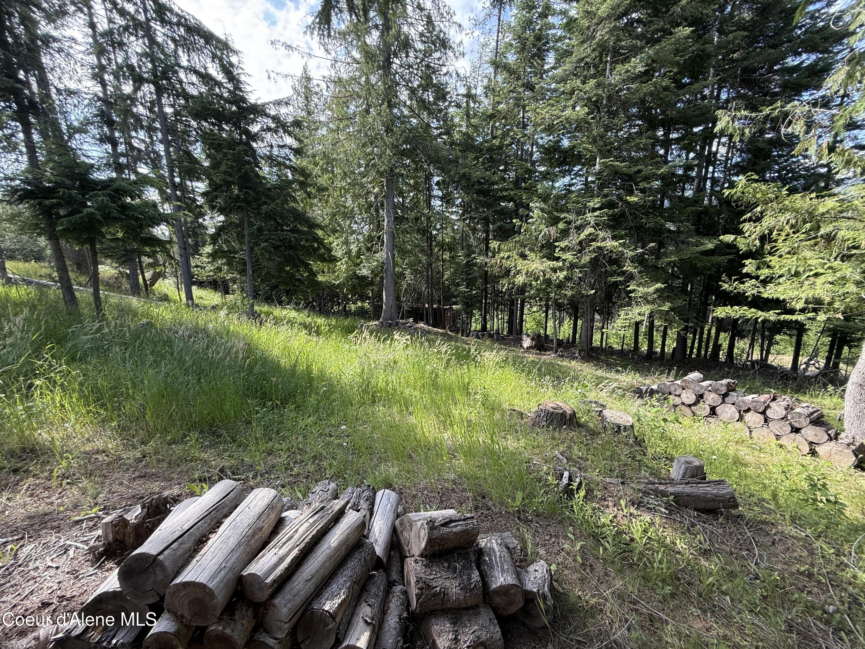 Nka South Fern Creek Road Cataldo, ID 83810 - Photo 18 of 19 18