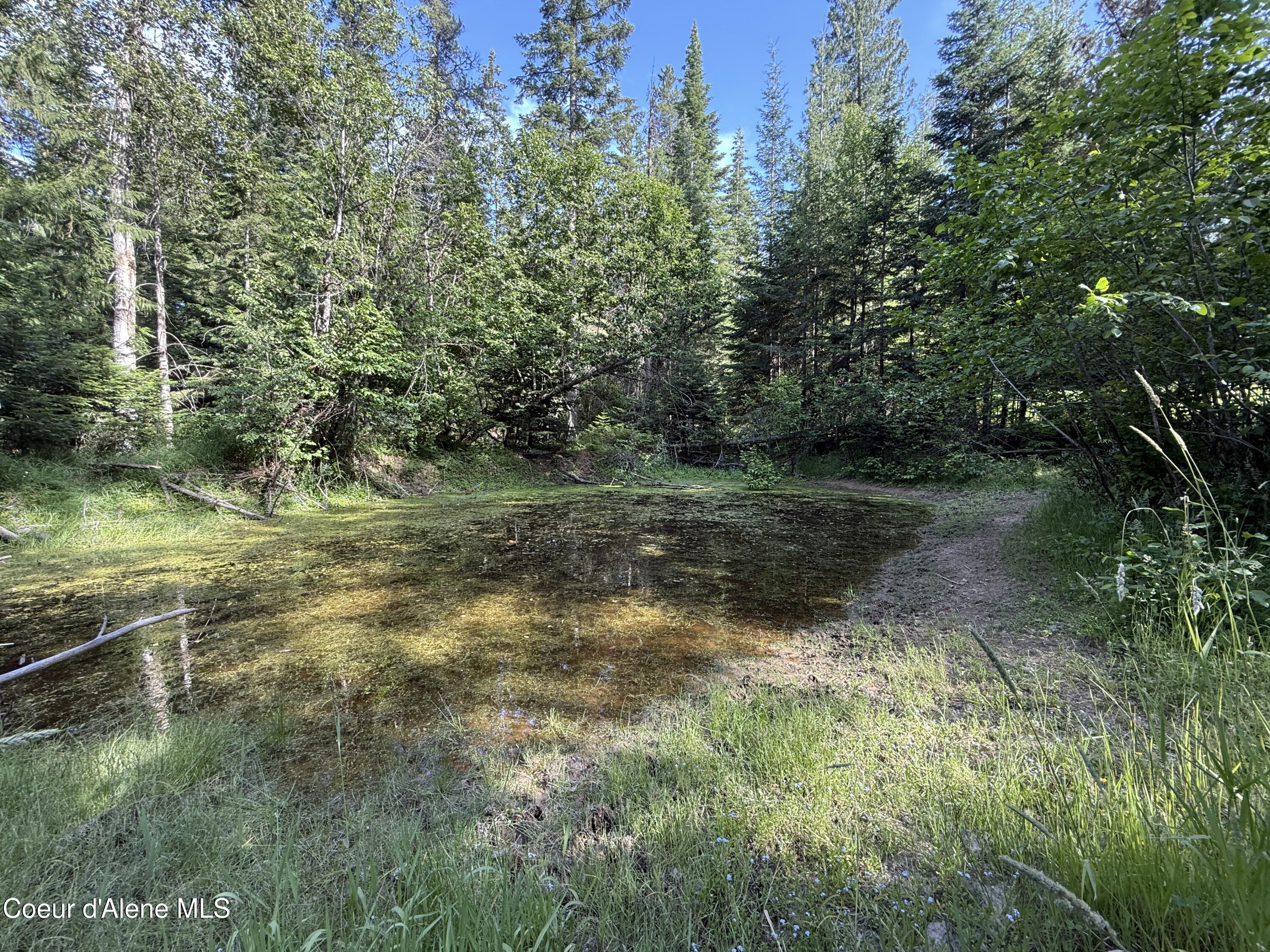 Nka South Fern Creek Road Cataldo, ID 83810 - Photo 19 of 19 19