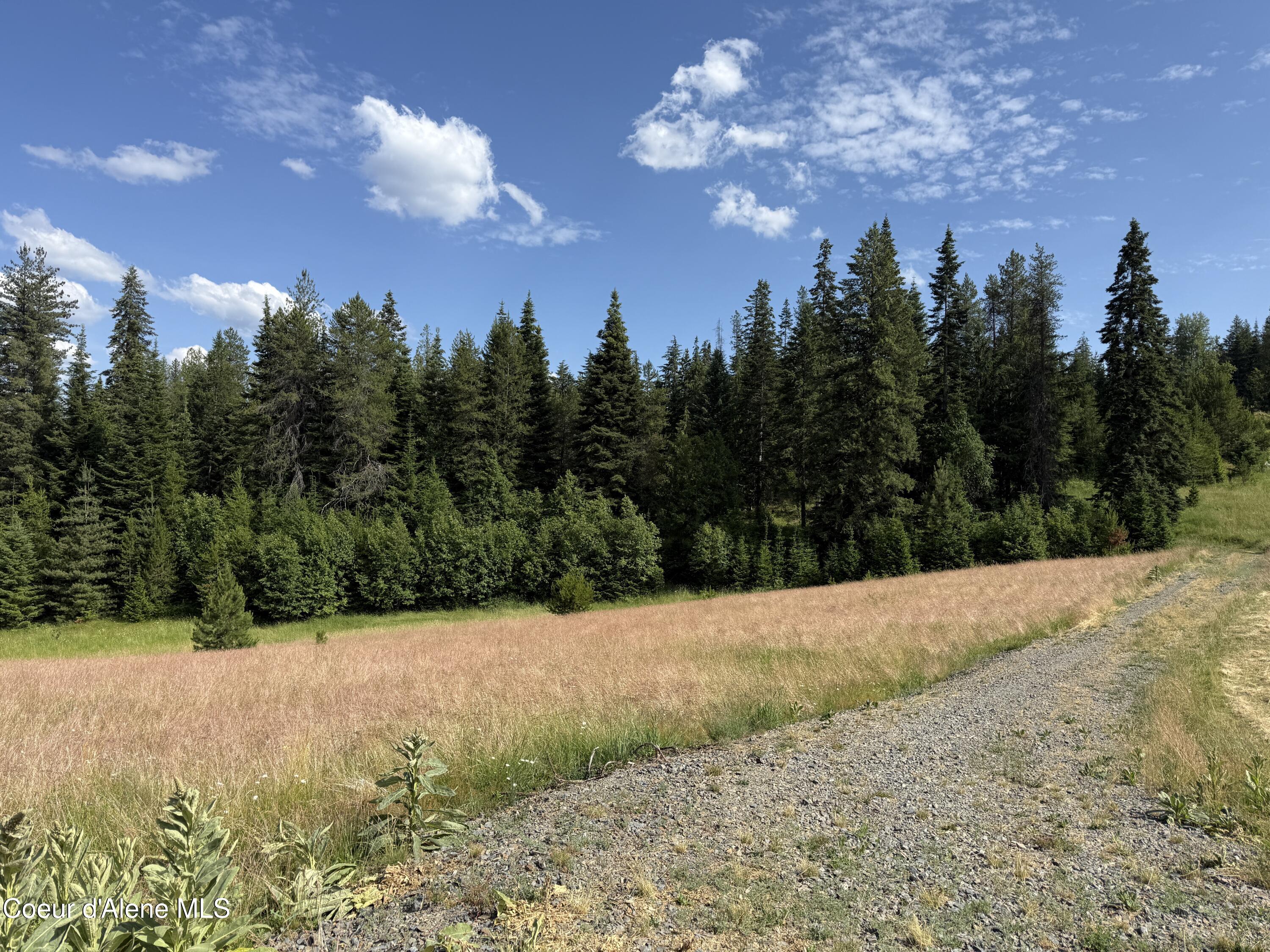 Nka South Fern Creek Road Cataldo, ID 83810 - Photo 4 of 19 4