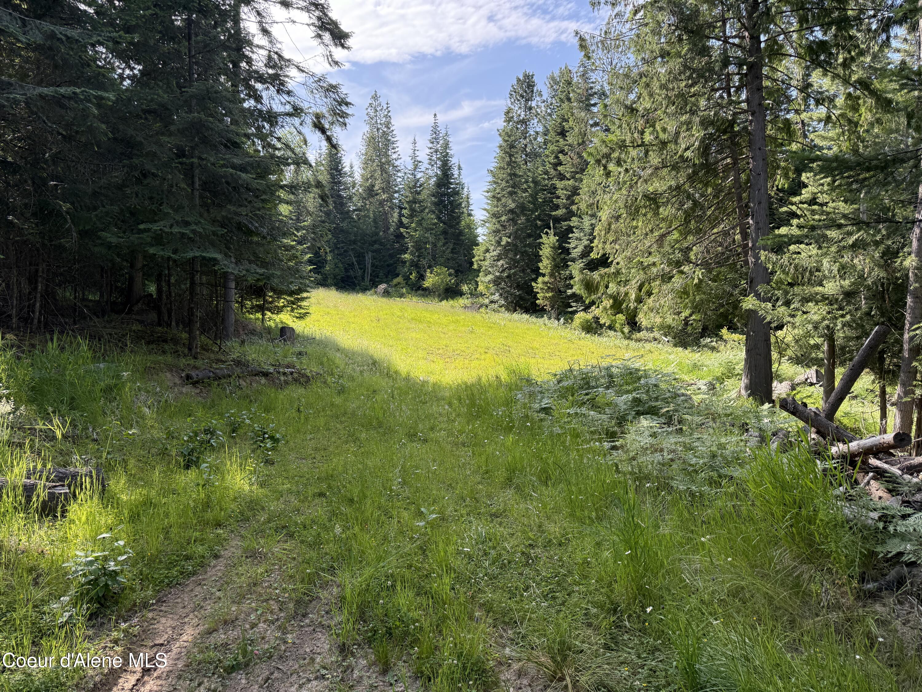 Nka South Fern Creek Road Cataldo, ID 83810 - Photo 6 of 19 6
