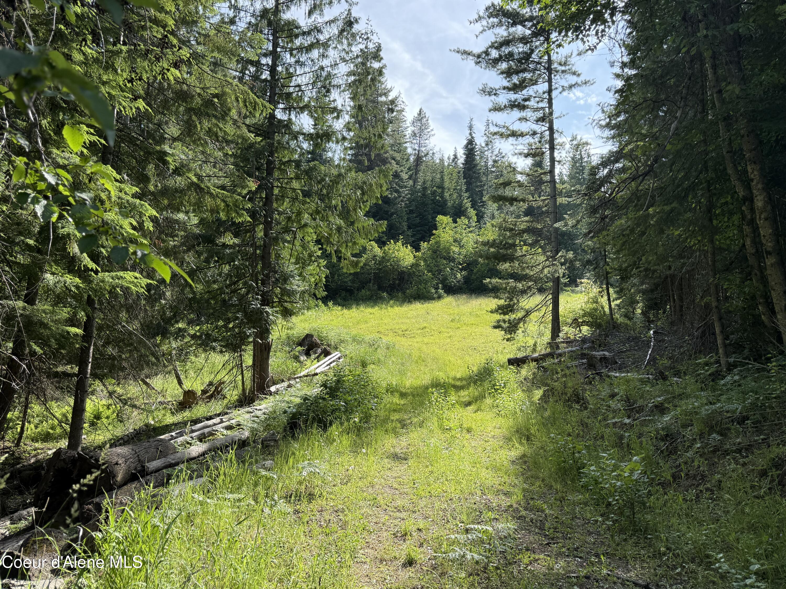 Nka South Fern Creek Road Cataldo, ID 83810 - Photo 7 of 19 7