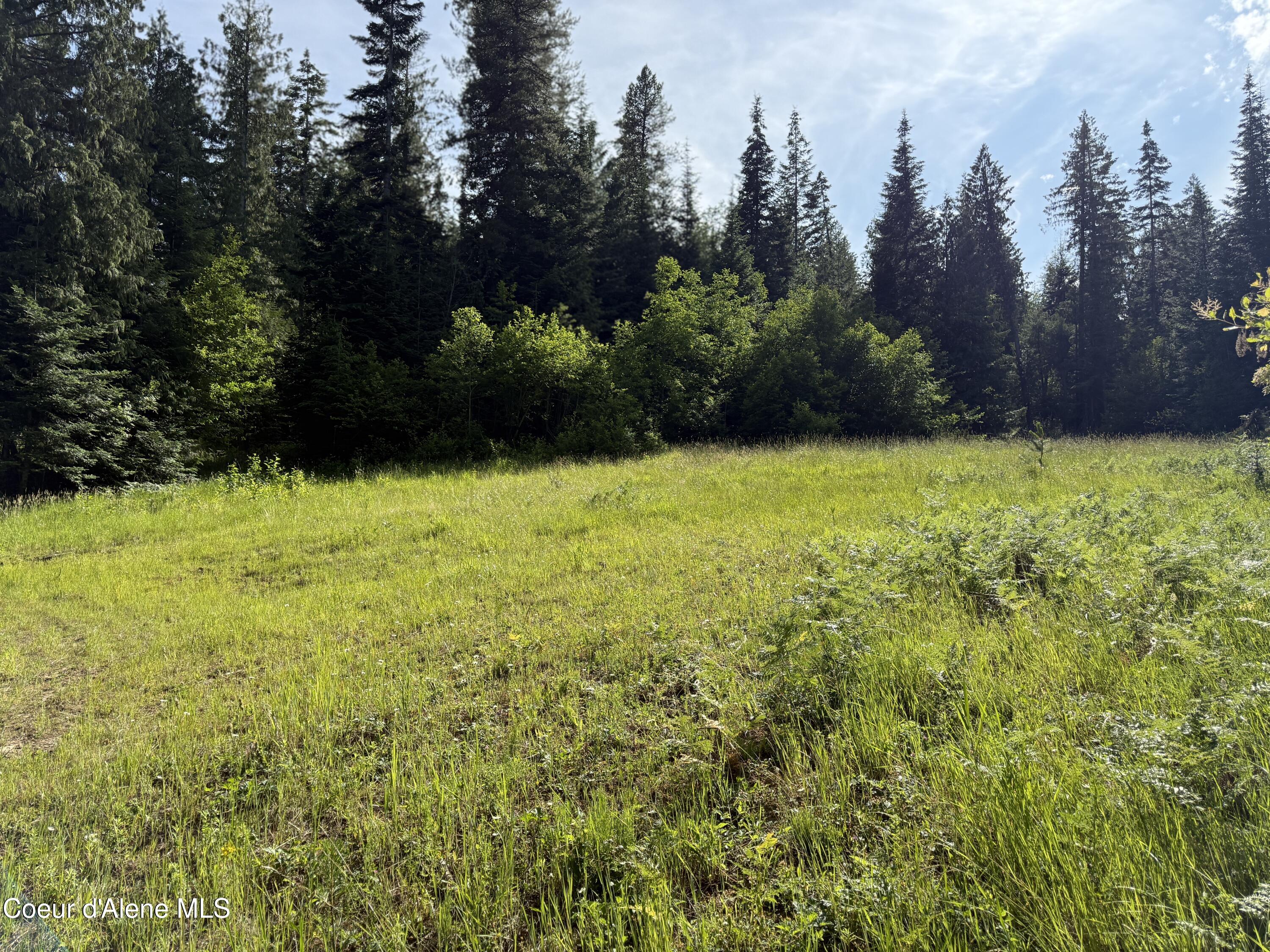 Nka South Fern Creek Road Cataldo, ID 83810 - Photo 8 of 19 8