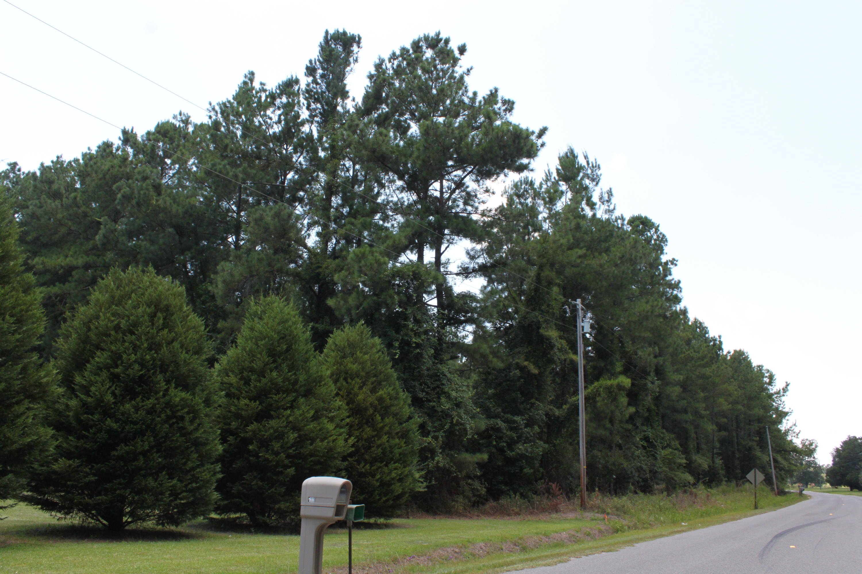 141 Rice Road Ridgeville, SC 29472 - Photo 1 of 8 IMG_0389