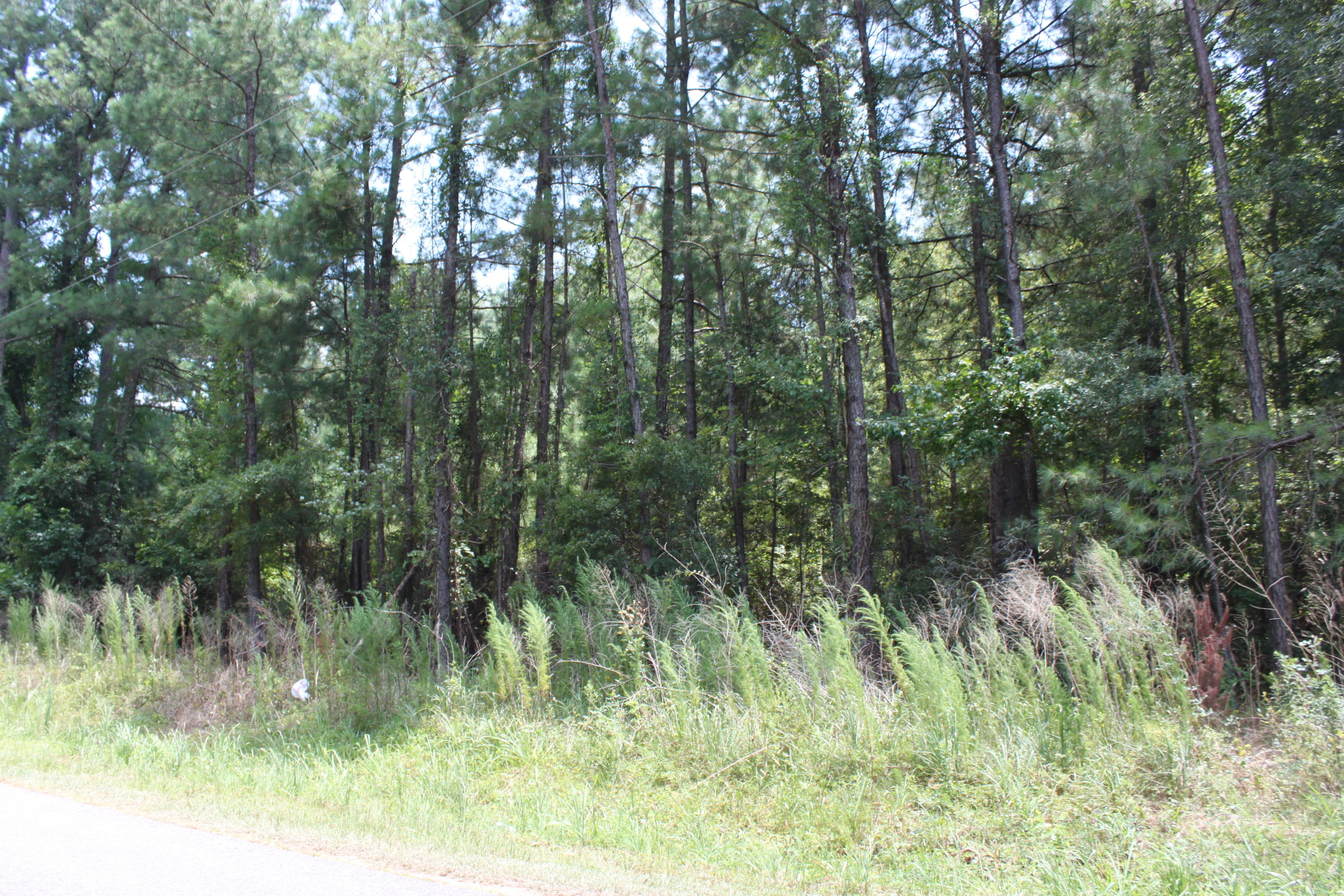 141 Rice Road Ridgeville, SC 29472 - Photo 5 of 8 IMG_0395
